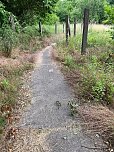 Unberührte Natur in Nordhausen? (Foto: Barbara Hopp)