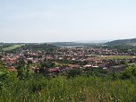 Auf dem Feuersalamanderpfad (Foto: Jürgen Friedling)