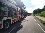 Alkoholfahrt endete in der Hecke (Foto: Feuerwehr Bad Frankenhausen/Silvio Dietzel)