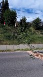 Alkoholfahrt endete in der Hecke (Foto: Feuerwehr Bad Frankenhausen/Silvio Dietzel)