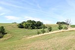 botanische Wanderung vor der eigenen Haustür (Foto: Landschaftspflegeverband Südharz/Kyffhäuser)