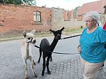 Zu Besuch bei Wilma und Co. (Foto: Thomas Leipold)