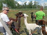 Zu Besuch bei Wilma und Co. (Foto: Thomas Leipold)