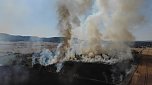 Feldbrand bei Großfurra (Foto: S. Dietzel)