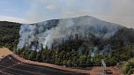 Waldbrand bei Wernrode (Foto: S.Dietzel)