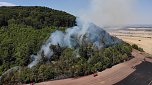 Waldbrand bei Wernrode (Foto: S.Dietzel)