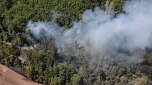 Waldbrand bei Wernrode (Foto: S.Dietzel)