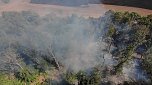 Waldbrand bei Wernrode (Foto: S.Dietzel)