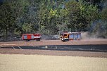 Waldbrand bei Wernrode (Foto: S.Dietzel)