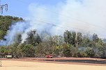 Waldbrand bei Wernrode (Foto: S.Dietzel)