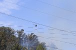 Waldbrand bei Wernrode (Foto: S.Dietzel)