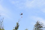 Waldbrand bei Wernrode (Foto: S.Dietzel)