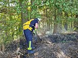 Feldbrand wurde fast zum Waldbrand (Foto: Alexander-Raphael Beck)