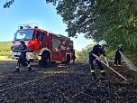 Feldbrand wurde fast zum Waldbrand (Foto: Alexander-Raphael Beck)