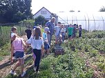 Wandertag in Bendeleben (Foto:  Heike Hambrock-Bartsch )