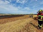 Flächenbrand bei Trebra (Foto: Feuerwehr Lipprechterode/Silvio Dietzel)