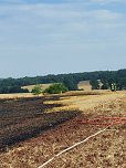 Flächenbrand bei Trebra (Foto: Feuerwehr Lipprechterode/Silvio Dietzel)