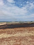 Flächenbrand bei Trebra (Foto: Feuerwehr Lipprechterode/Silvio Dietzel)