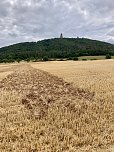 Am Fuße des Kyffhäuser entsteht ein Bodenbild zu Ehren Friedrich Barbarossas (Foto: Kyffhäuser-Denkmal)