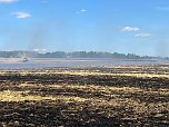 Feldbrand Bein Obermehler (Foto: Feuerwehr Obermehler/Feuerwehr Ebeleben/Silvio Dietzel)