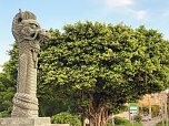 Nordhäuser Karateka auf Okinawa erfolgreich (Foto: F.Pelny)