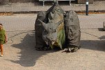 Mittelalterspektakel am Kyffhäuser Denkmal  (Foto: Eva Maria Wiegand)