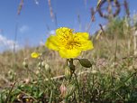 Fotowettbewerb läuft noch bis Ende September (Foto: S.Staubitz)