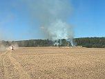 Waldbrand bei Urbach (Foto: S. Dietzel)