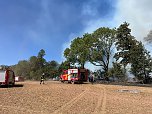 Waldbrand bei Urbach (Foto: S. Dietzel)