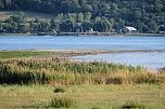 Abendstimmung am Stausee Kelbra (Foto: Peter Blei)