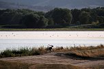 Abendstimmung am Stausee Kelbra (Foto: Peter Blei)