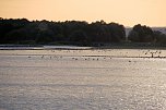 Abendstimmung am Stausee Kelbra (Foto: Peter Blei)