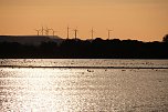 Abendstimmung am Stausee Kelbra (Foto: Peter Blei)