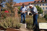 Taufe für "BoNo" den 22. Treppenkäfer (Foto: agl)