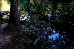 Am ehemaligen Waldbad Urbach  (Foto: P.Blei)