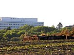 Ein kleiner Bunker am Rande der Stadt (Foto: Peter Blei)