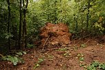 Stadtspaziergang zum Denkmalstag (Foto: agl)