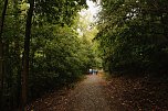 Stadtspaziergang zum Denkmalstag (Foto: agl)