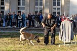 Ehrenamtsgala des KSB im Hue de Grais (Foto: Sven Tetzel)