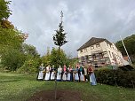 Baum des Jahres in Neustadt gepflanzt (Foto: Sandra Witzel)