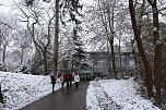 Advent im Park (Foto: Förderverein Park Hohenrode)