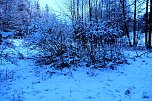 Eisige Kälte im Brandesbachtal (Foto: P.Blei)