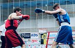 Wettkämpfe im Becken und im Boxring (Foto: agl)