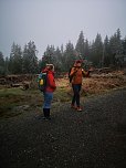 Jour Fixe im Nationalpark mit Sara Wegrzyk (Foto: Sandra Arm)