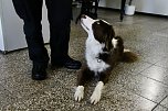 Besuch bei der Nordhäuser Hundestaffel (Foto: agl)