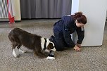 Besuch bei der Nordhäuser Hundestaffel (Foto: agl)