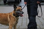 Besuch bei der Nordhäuser Hundestaffel (Foto: agl)