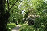 6. Heinrich-Siesmayer Gedächtnislauf im Park Hohenrode (Foto: agl)