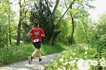 6. Heinrich-Siesmayer Gedächtnislauf im Park Hohenrode (Foto: agl)