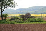 Die Wüstung Lindenschu (Foto: Ulrich Reinboth)